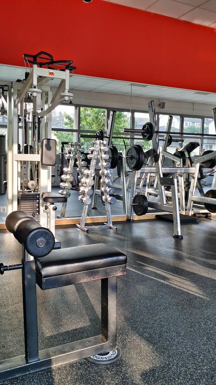 training, sports, fit, athletic, fitness, gym, weight lifting, active, health, power, work out, weight plates, weight training, weight room, muscle training, dumbbells, bodybuilding, back training, gym, gym, weight lifting, weight lifting, weight room, weight room, weight room, weight room, weight room